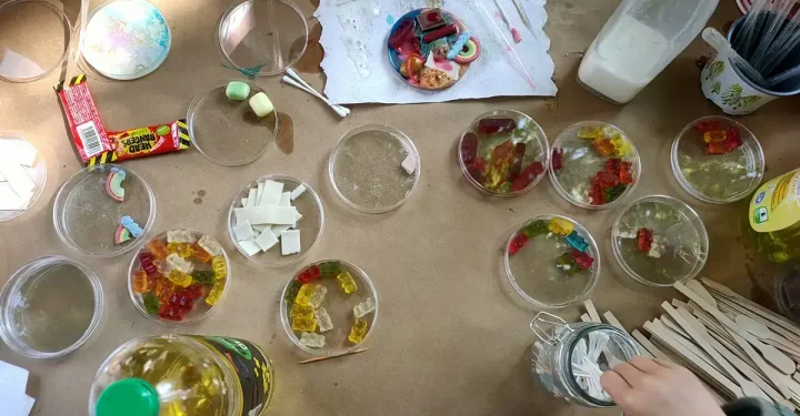 Museum Morsbroich Workshop Lanz
